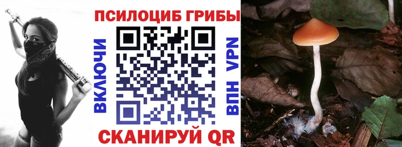 Псилоцибиновые грибы мухоморы  Луза 